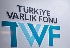Türkiye Varlık Fonu'nun girişim ekosistemine sağladığı destek 100 milyon doları aştı