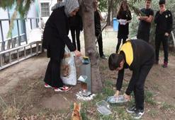 Demirören Medya ve Teknoloji MTAL öğrencilerinden sokak hayvanlarına mama desteği