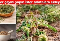 İltihabı silip süpürüyor! Tansiyonun kökünü kurutup idrar yollarını tertemiz yapıyor