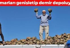 Bitlis'te sökümü başladı! Daralan damarları genişletip demir depolarını zirveye taşıyor! Doğal tansiyon ilacı
