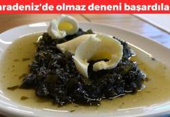 Karadeniz'de yine olmaz deneni yaptılar! Tereyağı ile tüketince faydası artıyor, görenler gözlerine inanamıyor