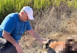 Eve döndüğünde hayatının şokunu yaşadı! ‘Ne olduğunu bilmiyoruz’