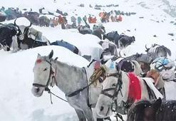 Everest’te manzara tırmanışı kabusu