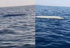 Karadeniz'de insansız deniz aracı şüphesi balıkçıları tedirgin etti