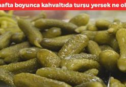 10 hafta boyunca kahvaltıda turşu yersek ne olur? Adeta soğuk algınlığı ilacı