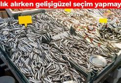 Taze balığı gözünden anlayın! Tezgahtan alırken kimse dikkat etmiyor