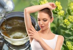 Tüyler üzerinde lazer etkisi gösteriyor! İbrahim Saraçoğlu tavsiye ediyor: Kürünü yapıp tüketin