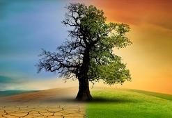 Geleceğin Karanlık Yüzü: İnsanları Bekleyen Küresel Riskler