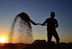 Çiftçinin yüzünü güldürecek haber! Destek ödemeleri bugün yapılacak