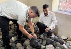 'Boş iş' dediler, o yılmadı: Palulu Hüseyin’in taşlarla dolu serüveni