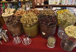 Prof. Dr. Alper Şener’den kritik uyarı! Kış aylarında içilen o çaylara dikkat!