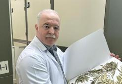 Türk bilim insanından şok açıklama: Nuh’un Gemisi bambaşka bir yerde!