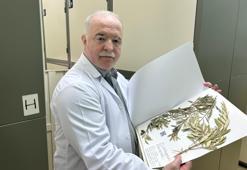 Tarihi değiştirecek keşif! Türk profesör açıkladı: Nuh’un Gemisi Ağrı Dağı’nda değil, Cudi’de!