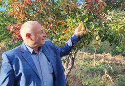 60 yaşındaki çiftçi hayatında ilk kez gördü! 'Bunca yıldır böyle bir şeye rastlamadım'