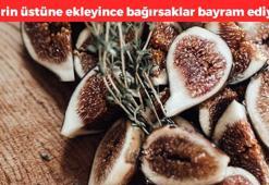 Babaanne defterinden 100 yıllık tarif! İncirin üstüne bir miktar ekleyin: Kemikleri betona çeviriyor, kolesterolden eser bırakmıyor