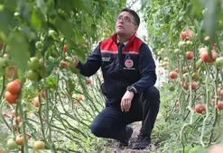 Ziraat mühendislerinden örnek sera projesi