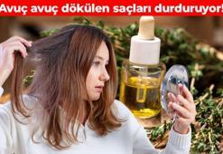Saç köklerini yeniden canlandırıyor! Dökülmeyi durdurmak için mutlaka uygulayın