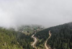 Doğu Karadeniz'de toprak alarm veriyor! Yetkililer uyardı