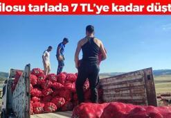 Kilosu 7 TL'ye kadar düştü! Tıkalı damarları yağ çözücü gibi açıp boğazdan mikrobu söküp alıyor! Kan şekerini terazi gibi dengeliyor