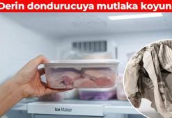 Dondurucuya koyunca yüzde 50 tasarruf ettiriyor! Kimse bu yöntemi bilmiyor