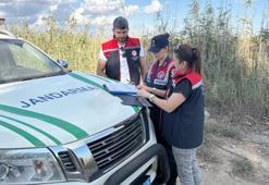 Koruma altındaki türü avlayan 2 şüpheli yakalandı!