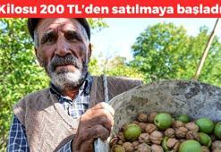 Edirne'de hasadı başladı! Kilosu 200 TL: Günde 3-4 tane yiyebilirsiniz