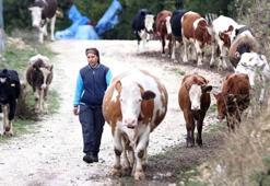 Köye gelin geldi, girişimci oldu! Devlet desteğiyle büyüdü