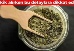 Kekik alırken 2 kere düşünün! Renginden kendini ele veriyor: Toz mu alınmalı yaprak mı?