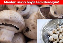 Mantarı yıllardır yanlış temizliyormuşuz! Hepimizin yaptığı kritik hata, lezzetini sıfırlıyor