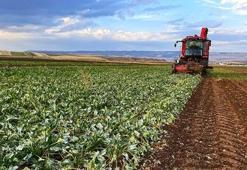 EKİM 2025 TARIMSAL DESTEK ÖDEMESİ NE ZAMAN YATACAK? ÇİFTÇİ DESTEK ÖDEMESİ YATTI MI?