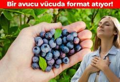 Damarların içini foşur foşur temizliyor! Kalbi adeta kaya gibi güçlendiriyor