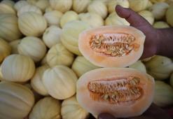 Kilosu 10 TL! Tadı ve lezzetiyle diğerlerini geride bırakıyor, Denizli'de kapış kapış satılıyor