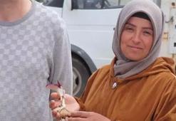 Karaman'da mantar toplarken buldu, dünya tarihine geçecek keşif yaptı