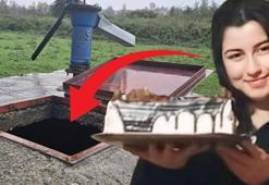 Hasret Akkuzu canice öldürülüp kuyuya atılmıştı! Cinayetin faili 5 kişinin katili çıktı