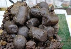 Akciğerlerini temizlemek isteyenler ona yöneldi! 50 gramı 1250 liradan satılıyor: KOAH hastaları bile şifayı onda arıyor...