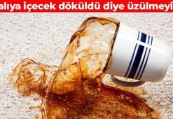 Lekelenen halıyı yeni alınmış gibi yapıyor! Kahve, meyve suyu, yağ fark etmez