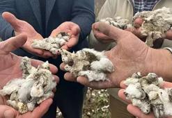 Aydın'da dolu felaketi! Bir yıllık emek, bir saatte yok oldu