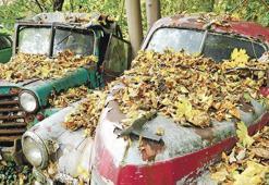 Nostaljik oto mezarlığı