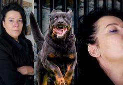 Bursa’da arkadaşının köpeği burnunu parçaladı: Acısı korkunç bir acı ölmediğim için şükrediyorum