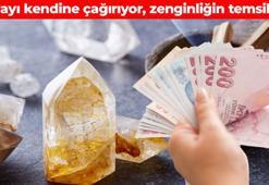 'Para taşı' olarak da biliniyor! Buna sahip olan zenginliğin kapılarını aralıyor