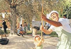 Akdeniz’in kalbinde büyüleyici bir deneyim