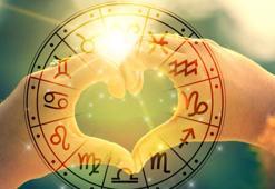 Onların sadakati asla test edilemez! Hayatlarının sonuna kadar sadık kalıyorlar