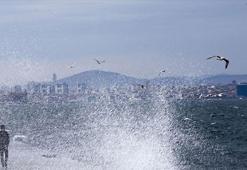 Marmara'da lodos alarmı! Bazı seferler iptal edildi