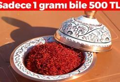 Dünyanın en pahalı baharatı, 1 gramı bile 500 TL'den satılıyor! Kan şekerini terazi gibi dengeliyor, antioksidan deposu!
