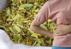 Ihlamuru sakın böyle tüketmeyin! Böbrekleri bitiriyor...