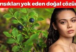 Yaşlanmanın en kesin çaresi! Avuç avuç yiyin: Cilde içten kolajen yükleyip kırışıkları santim santim açıyor, tek gecede 10 yaş gençleştiriyor!