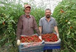 Mersin'de hasadı başladı! Kilosu 25 liraya kadar indi: Tıkalı damarları yağ çözücü gibi açıp, kemikleri beton gibi güçlendiriyor