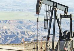 Diyarbakır’da 4 sahada 24 sondaj yapılacak