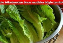 Maruldaki pestisiti saniyeler içinde arındırıyor! Sirke ya da karbonattan 10 kat daha etkili