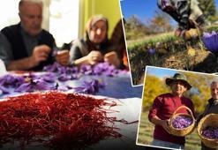 Kilosu 600 bin TL ama şifası paha biçilemez! Sıcak suya 1 kaşık karıştırıp için: Doğal mide ilacı, bağırsakları motor gibi çalıştırıyor!